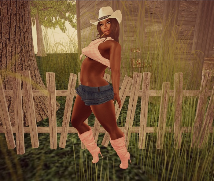 pink cowgirl b